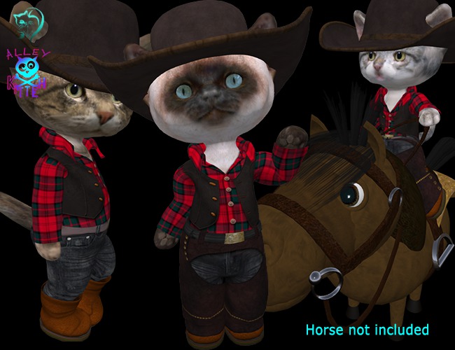 Dinkie Cowboy Riding Outfit No3