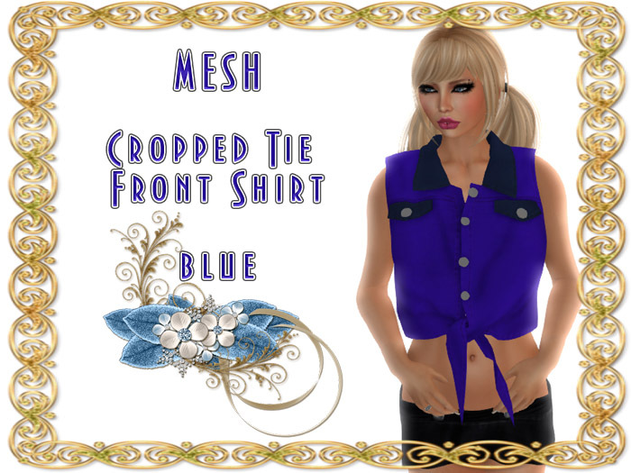 Mesh_Cropped Tie Front Shirt _blue