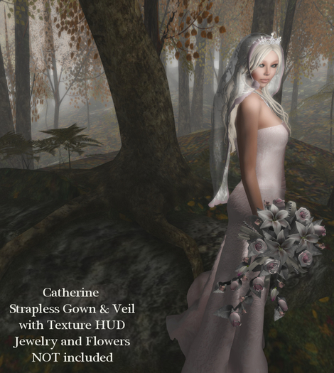 Mochi - Catherine Strapless Gown & Veil -  DEMO