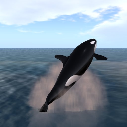 Orca Killer Whale (Small)
