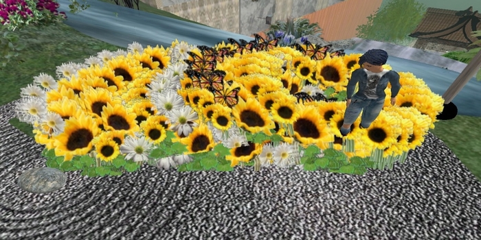 Flower Clump v1 (Sunflowers) Copy
