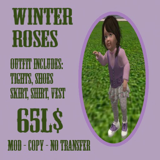 Winter Roses Outfit