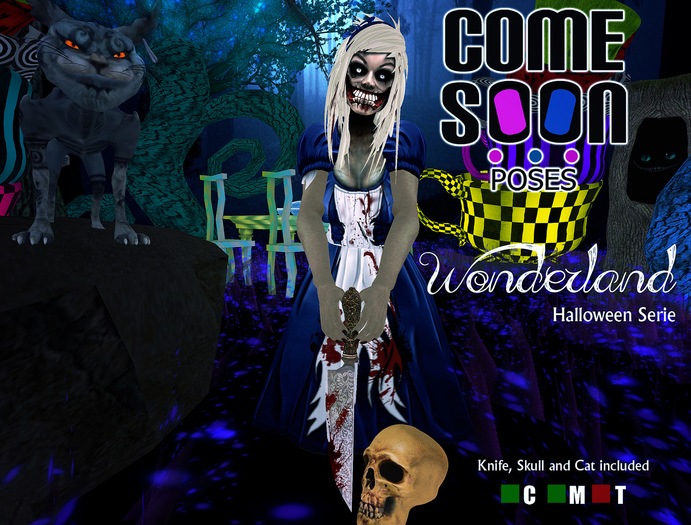 *CS* Wonderland