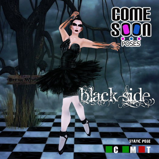*CS* Black Side