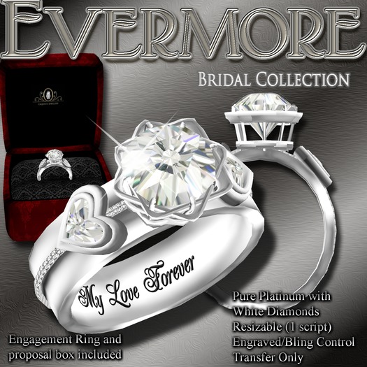 Exquisite Evermore Engagement Ring Platinum (box)