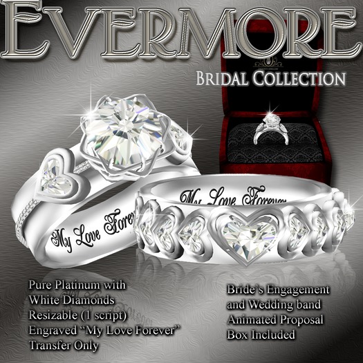 Exquisite Evermore Bridal Rings Platinum (box)