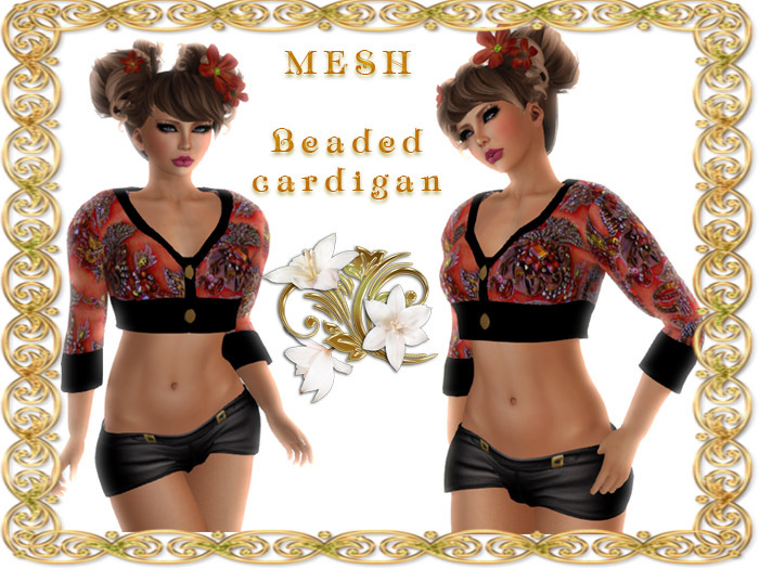 Beaded cardigan - Mesh