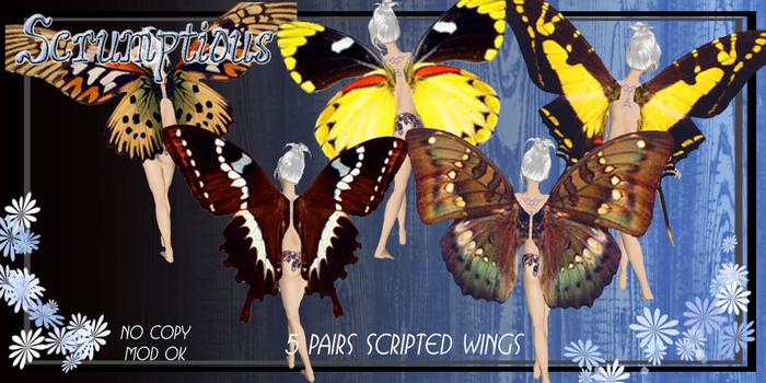 Scrumptious Wings Rich Naturals Pack