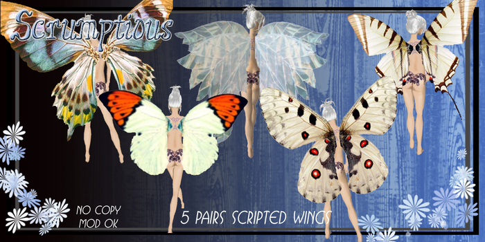 Scrumptious Wings WHite Pack