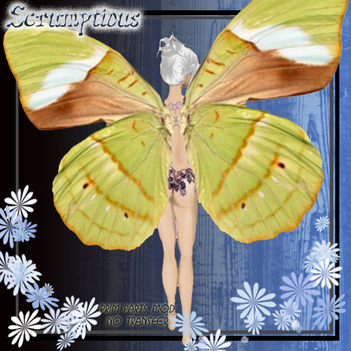 Scrumptious Willy Dilly Lemonade Butterfly Wings