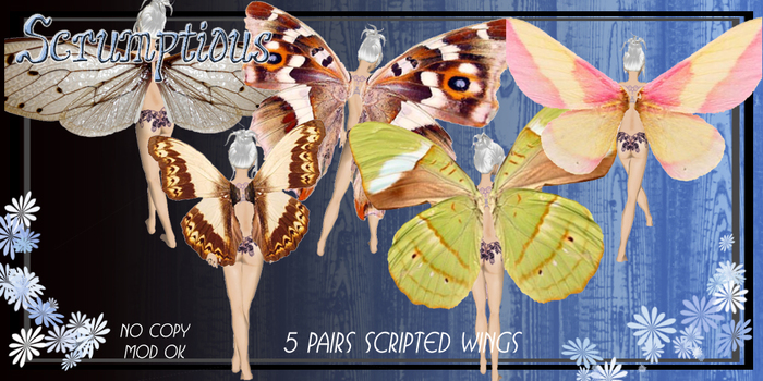 Scrumptious Soft Naturals Pack