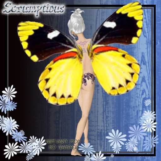 Scrumptious YellowBlack Butterfly Wings