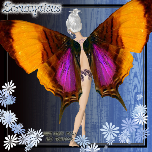 Scrumptious YellowPurple Butterfly Wings