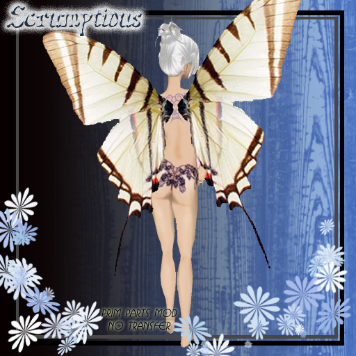 Scrumptious Tiger Black Butterfly Wings