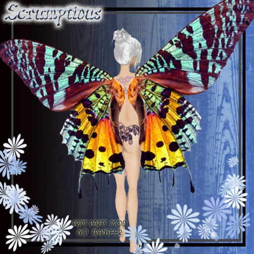 Scrumptious Yellow Bluespot Butterfly Wings