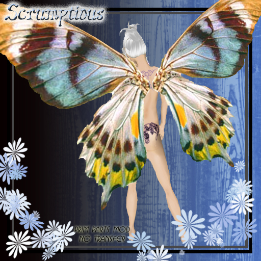 Scrumptious Soft White Butterfly Wings