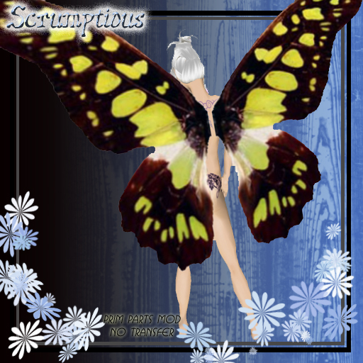 Scrumptious Striking Yellow Butterfly Wings