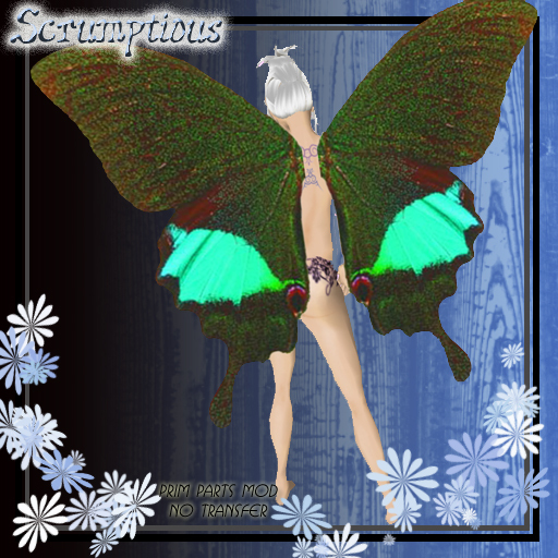 Scrumptious Soft Green Butterfly Wings