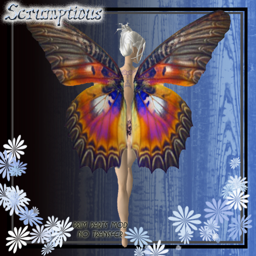 Scrumptious Rainbow Butterfly Wings