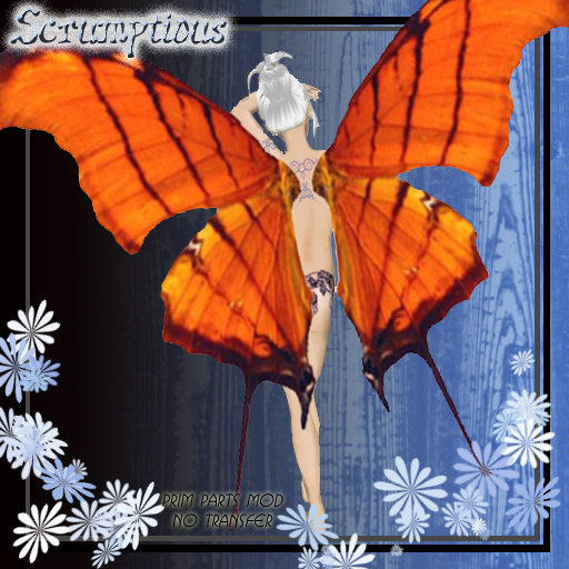 Scrumptious Orange Tiger Butterfly Wings