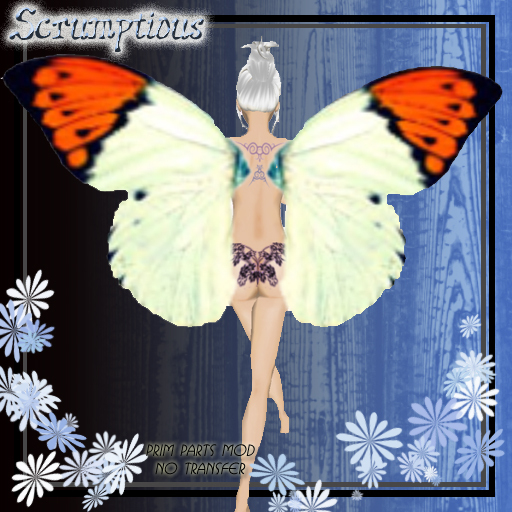 Scrumptious Orange Tipped Butterfly Wings