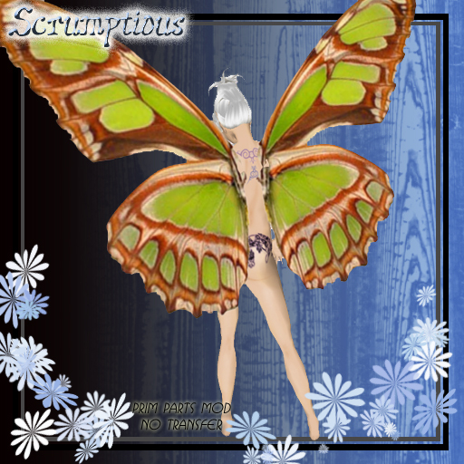 Scrumptious Green and Brown Butterfly Wings