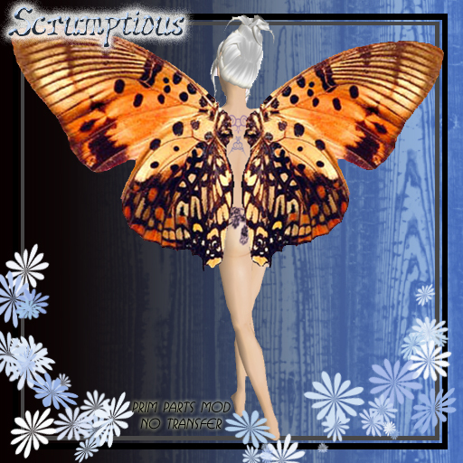 Scrumptious Brown-Orange Butterfly Wings