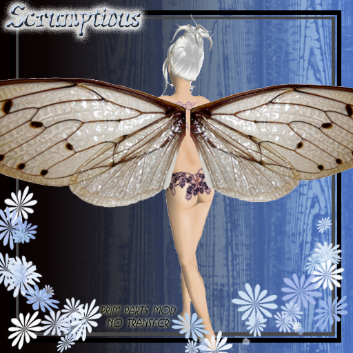 Scrumptious Cicadia Wings