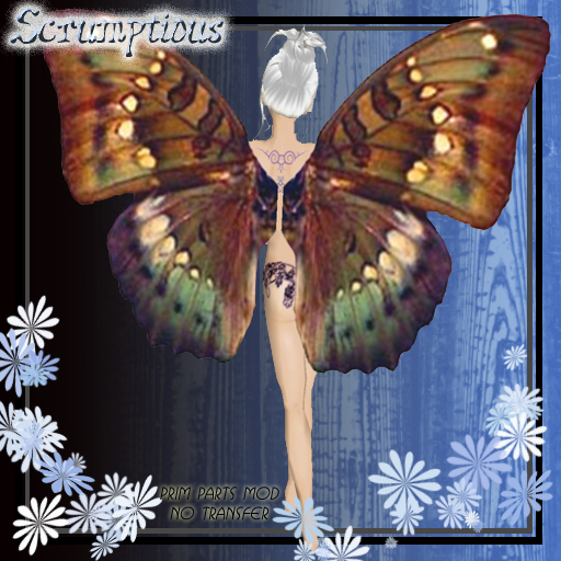 Scrumptious Brown Butterfly Wings