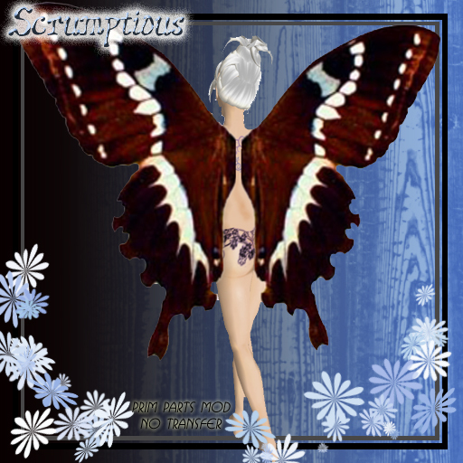 Scrumptious BrownBlack Butterfly Wings
