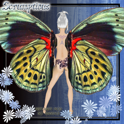 Scrumptious Brilliant Hue Butterfly Wings