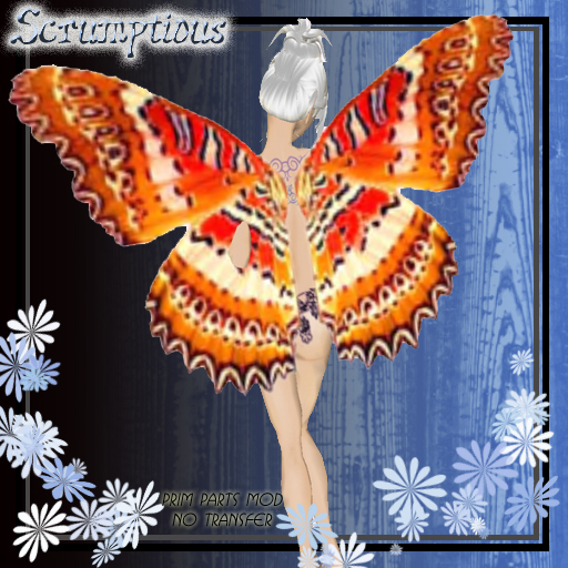 Scrumptious Brilliant Orange Butterfly Wings
