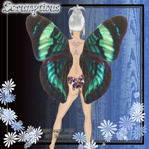 Scrumptious BlueGreen Butterfly Wings