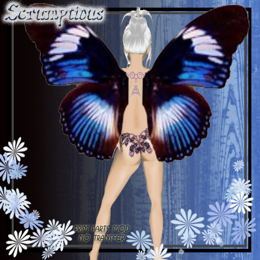 Scrumptious Blue and White Butterfly Wings