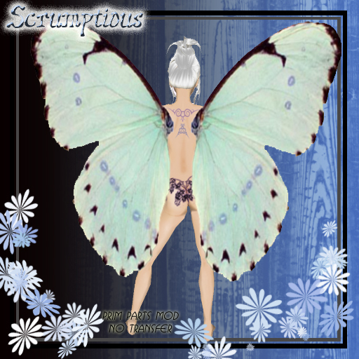 Scrumptious Bright Butterfly Wings