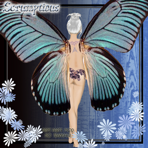 Scrumptious Aqua Butterfly Wings