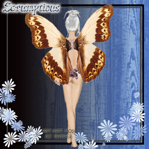 Scrumptious Beautiful Brown Butterfly Wings
