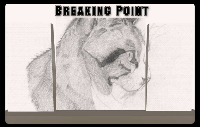 ⊱Breaking Point⊰ - Cat Frame