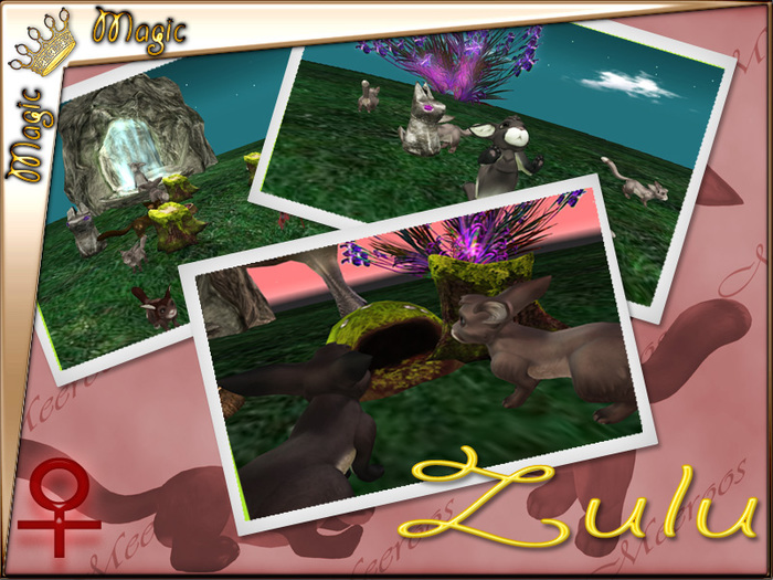 Zulu 4T F/Shy/Indigo/K9/LM/Button/Bushy/6844563 Super Roo!