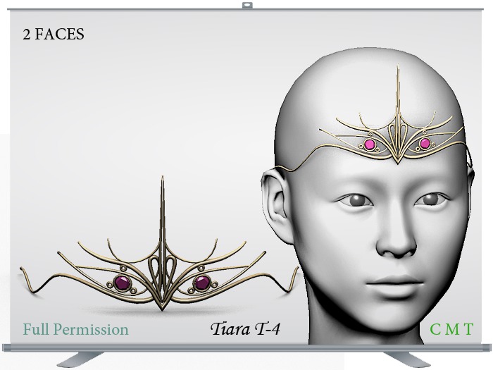 Tiara T-4 Full Permission