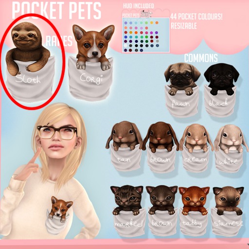 Pocket pet {Sloth} RARE