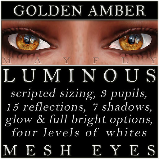 Mayfly - Luminous - Mesh Eyes (Golden Amber)