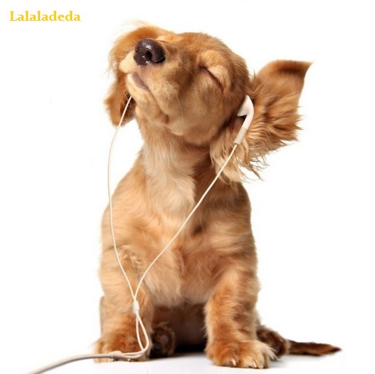 Jive Puppy Poster