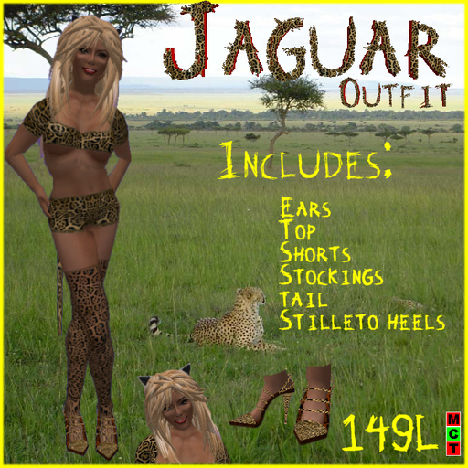 jaguar outfit