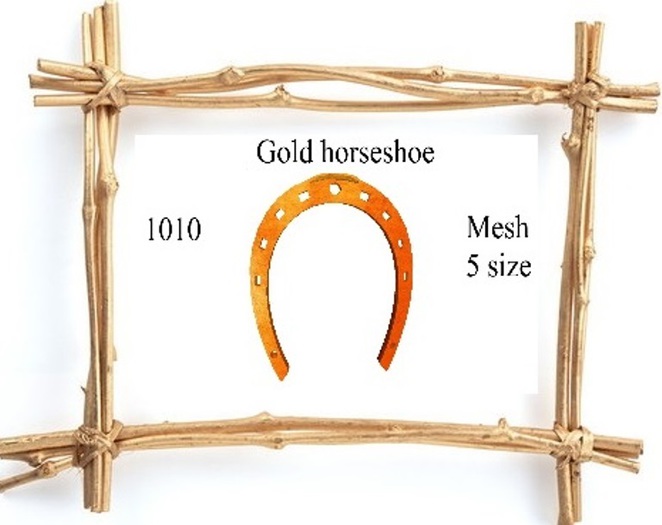 1010 Gold horseshoe box