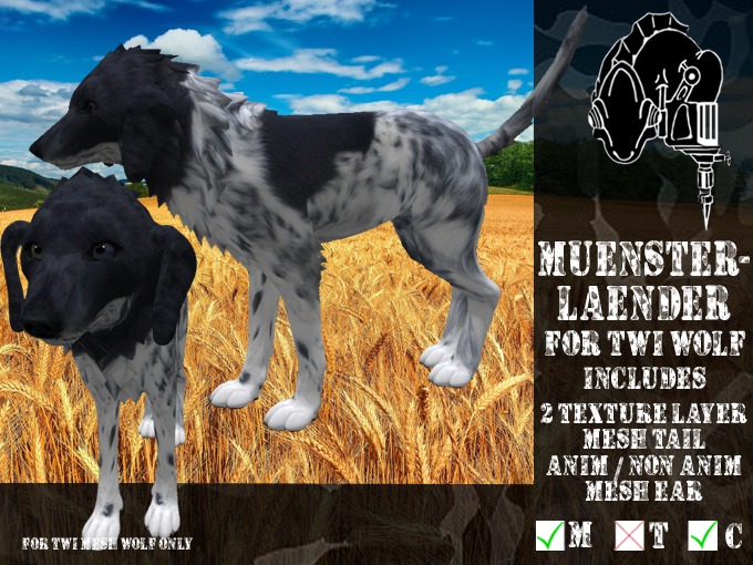 *CMFL* Muensterlaender application (boxed)