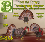 Vintage Gibson Girl Ghost Card & Hologram  set with Jack-O-Lantern Poofer, Hovering Pirate Sheet Ghost & Costume