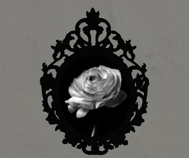 Vintage Frame Rose 4