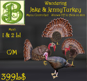 Vintage Gibson Girl Ghost Card & Hologram  set with Jack-O-Lantern Poofer, Hovering Pirate Sheet Ghost & Costume