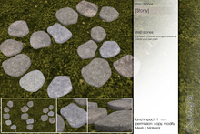 Sway's [stony] step stones